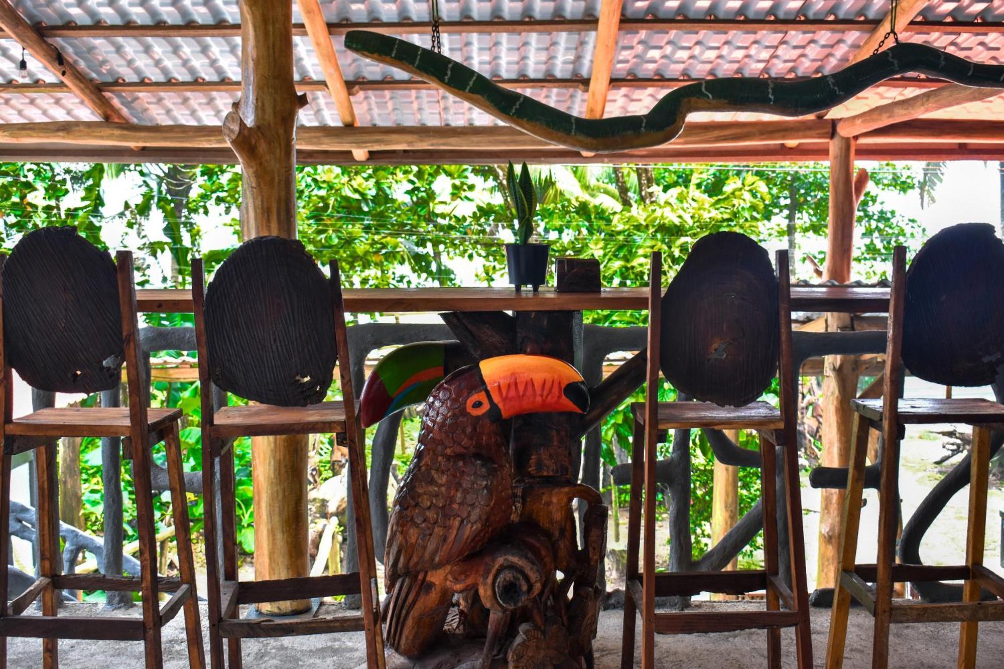 El Deseo Serendipity Tortuguero Exterior photo